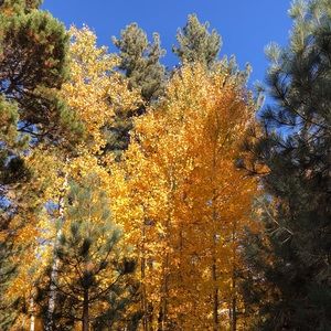 Meet your Posher, Pamela